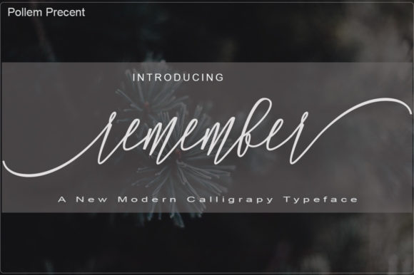Remember: The Calligraphic Script Font That Awakens Artistic Flair