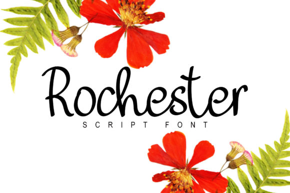 Rochester: Crafting Elegance with a Simple Script Font